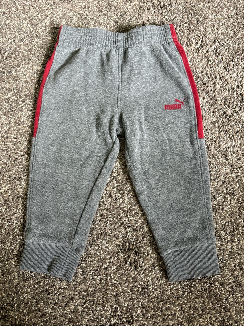 Puma Kids Gray and Red Hooded Jogger Set - Picture 7 of 10